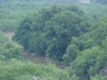 Farm Property in Runnels County, Texas