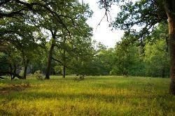 Waterfront Property in Madison County, Texas