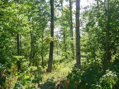 Ranch Property in Orange County, New York