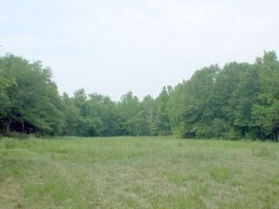 Property in Spartanburg County, South Carolina