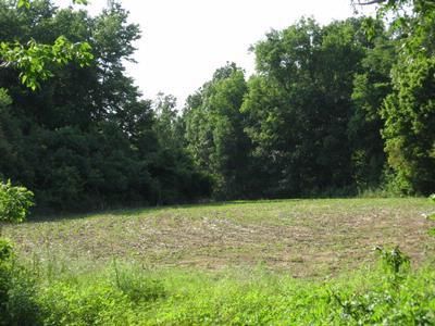 Property in Ballard County, Kentucky