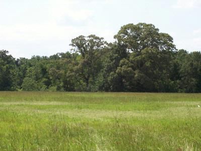 Property in Avoyelles Parish, Louisiana