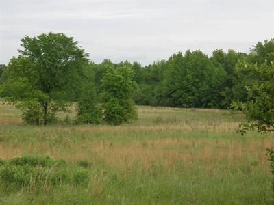 Property in Cooke County, Texas