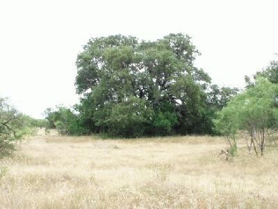 Farm Property in Concho County, Texas