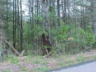 Property in Oconee County, South Carolina