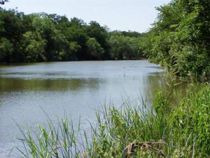 Farm Property in Concho County, Texas