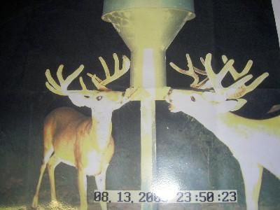 Farm Property in Brooks County, Texas