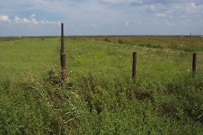 Farm Property in Jones County, Texas