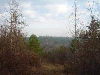 Farm Property in Washington County, Georgia