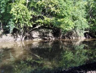 Property in Brazoria County, Texas