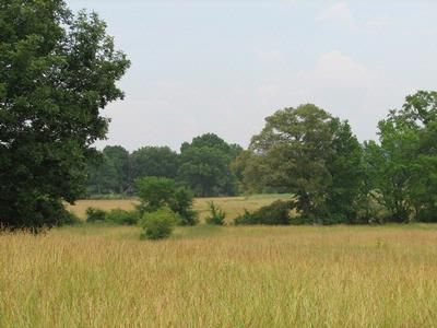 Farm Property in Shelby County, Alabama
