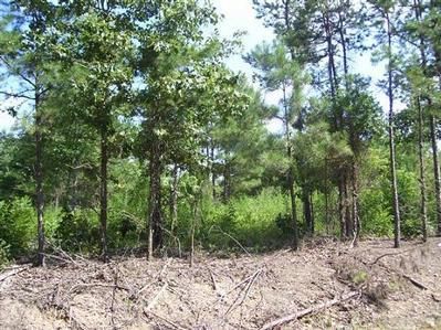 Farm Property in Etowah County, Alabama