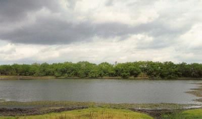 Farm Property in Atascosa County, Texas