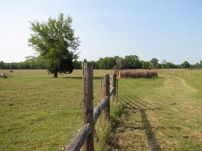 Farm Property in Lawrence County, Alabama