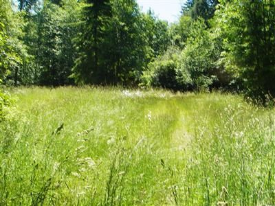 Ranch Property in King County, Washington