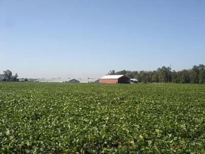 Property in Dorchester County, Maryland