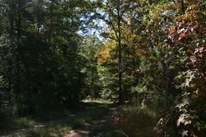 Farm Property in Elmore County, Alabama