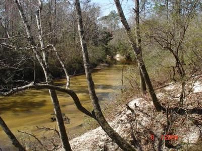 Waterfront Property in Baldwin County, Alabama