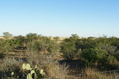 Property in Atascosa County, Texas