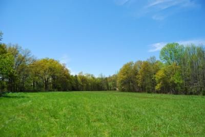 Ranch Property in Spartanburg County, South Carolina