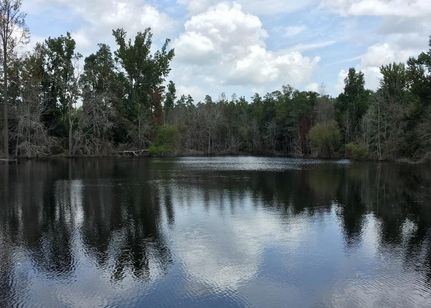 Farm Property in Aiken County, South Carolina
