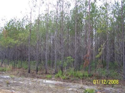 Property in Ware County, Georgia