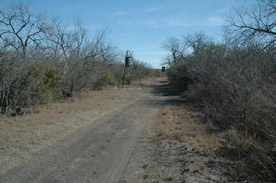 Property in Live Oak County, Texas