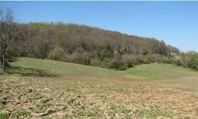 Farm Property in Pulaski County, Kentucky
