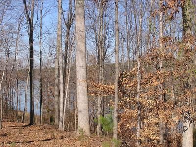 Property in Gaston County, North Carolina