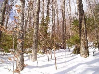 Farm Property in Grafton County, New Hampshire