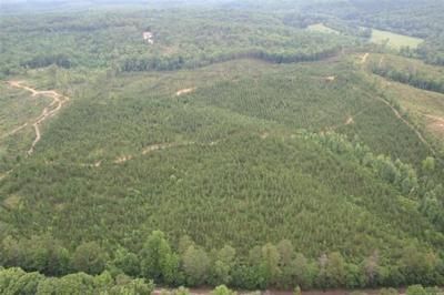 Farm Property in Cleburne County, Alabama