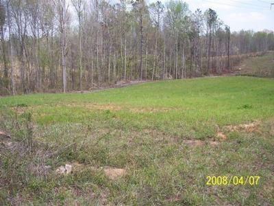 Farm Property in Tallapoosa County, Alabama