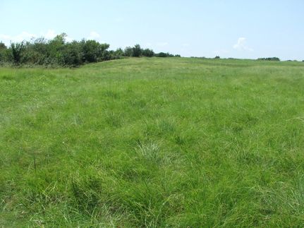 Residential Property in Coal County, Oklahoma