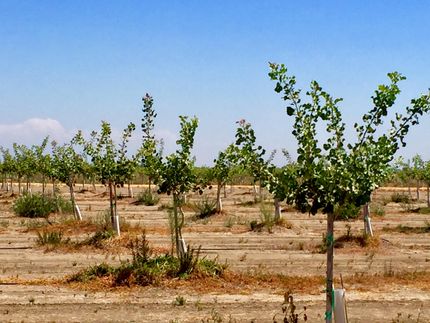 Property in Yolo County, California