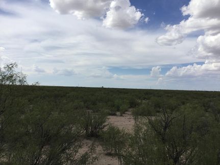 Ranch Property in Reeves County, Texas