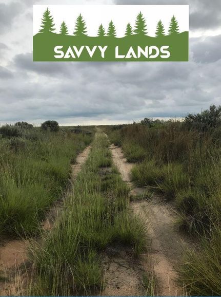 Farm Property in Cochran County, Texas