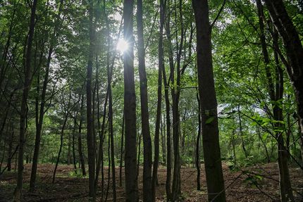 Property in Humphreys County, Tennessee