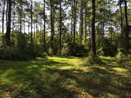 Recreational Property in Dale County, Alabama
