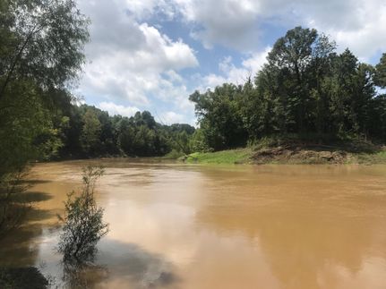 Timberland Property in Hinds County, Mississippi