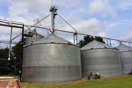 Farm Property in Lauderdale County, Tennessee