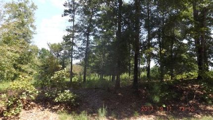 Undeveloped Land in Anderson County, Texas