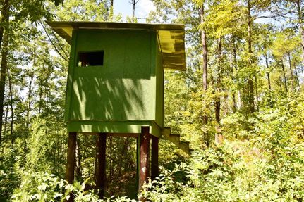 Ranch Property in Coosa County, Alabama