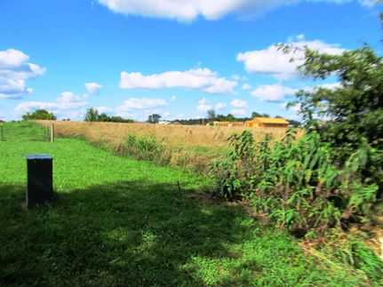 Farm Property in Greene County, Missouri