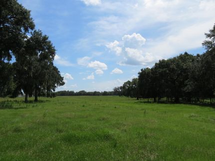 Timberland Property in Hillsborough County, Florida