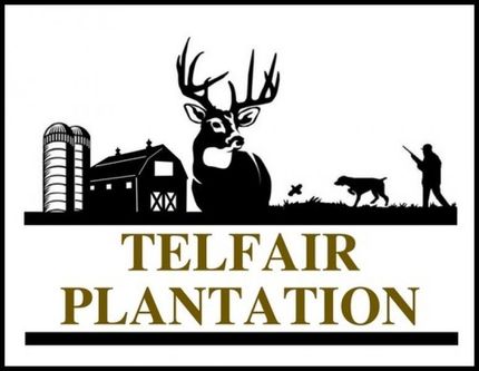 Property in Warren County, Georgia