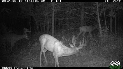 Ranch Property in Worth County, Missouri
