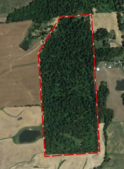 Farm Property in Daviess County, Kentucky
