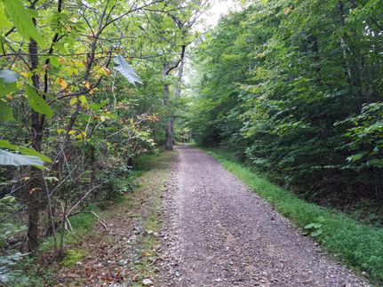Timberland Property in Lawrence County, Ohio