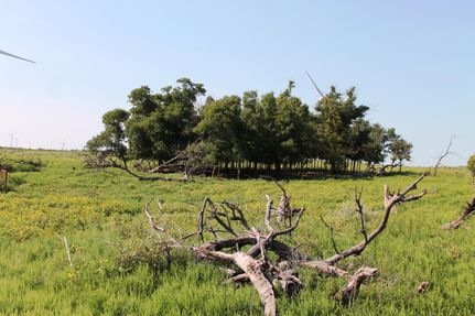 Recreational Property in Wilbarger County, Texas