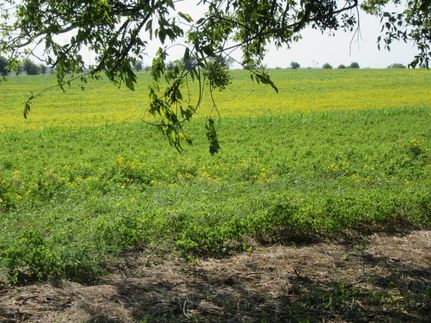 Residential Property in Bell County, Texas